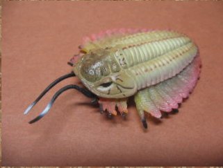 Amazon | UHA味覚糖 チョコラザウルス 恐竜・古代生物フィギュア